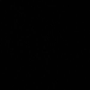 Meet your Posher, Joesph